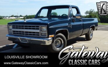 Chevrolet Other Pickups  1987