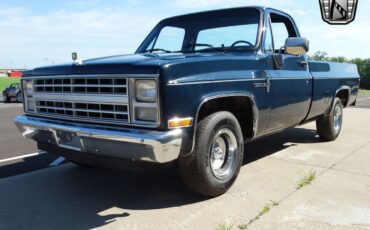 Chevrolet-Other-Pickups-1987-3