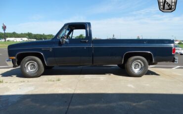 Chevrolet-Other-Pickups-1987-4