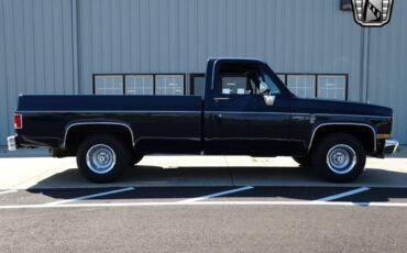 Chevrolet-Other-Pickups-1987-8