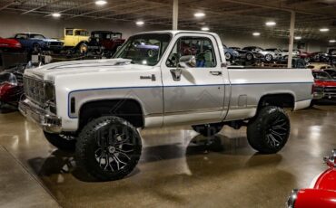 Chevrolet-Other-Pickups-Pickup-1977-8