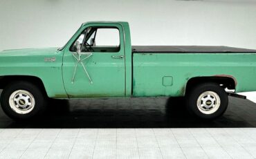 Chevrolet-Other-Pickups-Pickup-1980-1