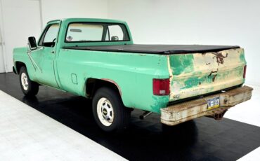 Chevrolet-Other-Pickups-Pickup-1980-2