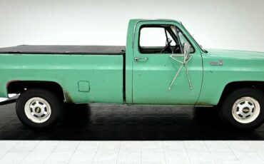 Chevrolet-Other-Pickups-Pickup-1980-5