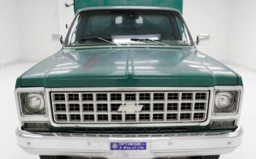 Chevrolet-Other-Pickups-Pickup-1980-7