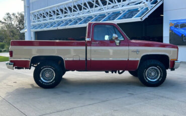 Chevrolet-Other-Pickups-Pickup-1985-3