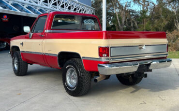 Chevrolet-Other-Pickups-Pickup-1985-7