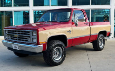 Chevrolet-Other-Pickups-Pickup-1985-9