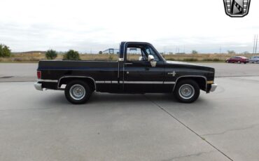 Chevrolet-Other-Pickups-Pickup-1985-Black-Gray-18511-3