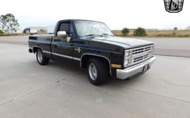 Chevrolet-Other-Pickups-Pickup-1985-Black-Gray-18511-6