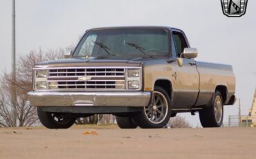 Chevrolet-Other-Pickups-Pickup-1986-2