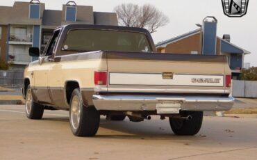 Chevrolet-Other-Pickups-Pickup-1986-3