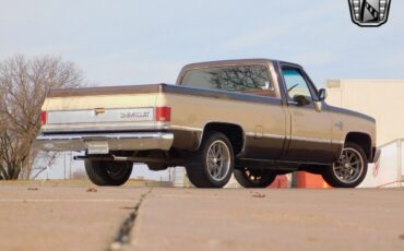 Chevrolet-Other-Pickups-Pickup-1986-4