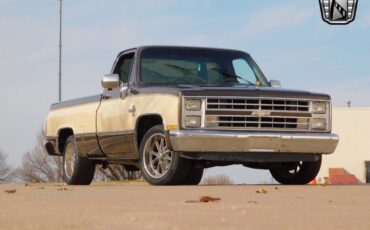 Chevrolet-Other-Pickups-Pickup-1986-6