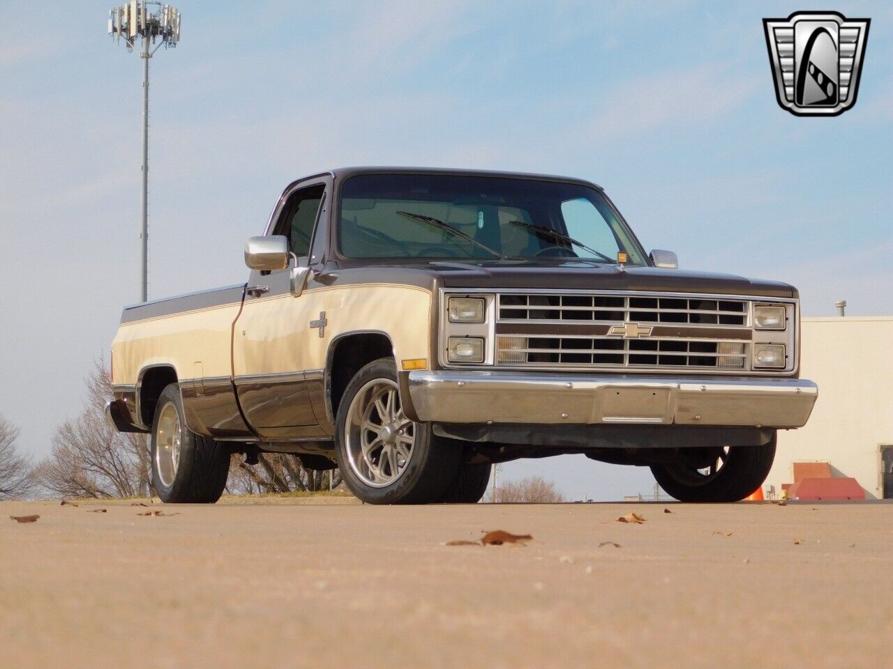 Chevrolet-Other-Pickups-Pickup-1986-6