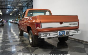 Chevrolet-Other-Pickups-Pickup-1986-9