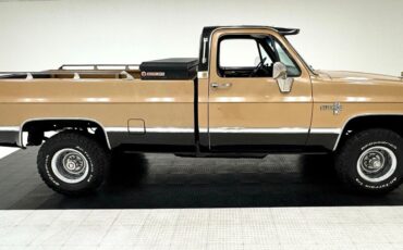 Chevrolet-Other-Pickups-Pickup-1986-Gold-Black-117458-5