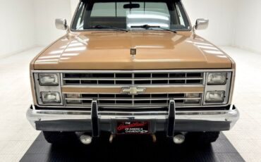 Chevrolet-Other-Pickups-Pickup-1986-Gold-Black-117458-7