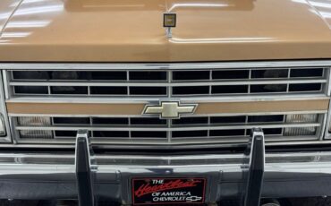 Chevrolet-Other-Pickups-Pickup-1986-Gold-Black-117458-8