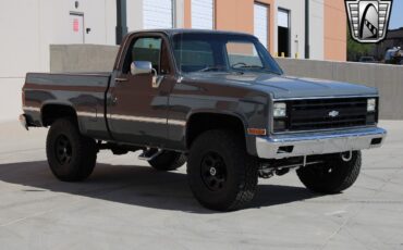 Chevrolet-Other-Pickups-Pickup-1987-5