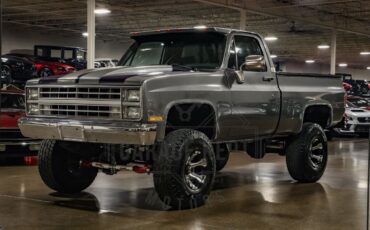 Chevrolet-Other-Pickups-Pickup-1987-7