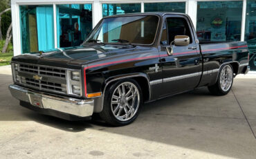 Chevrolet-Other-Pickups-Pickup-1987-9