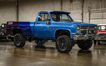 Chevrolet Other Pickups Pickup 1987