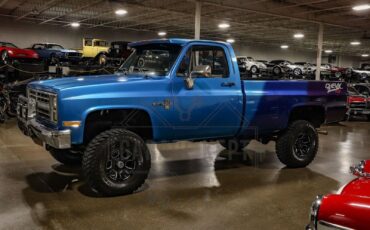 Chevrolet-Other-Pickups-Pickup-1987-Blue-Black-93762-8