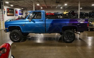 Chevrolet-Other-Pickups-Pickup-1987-Blue-Black-93762-9