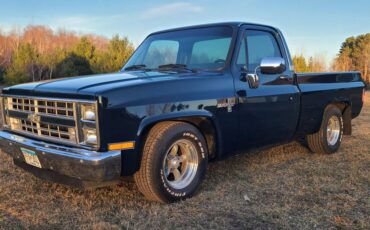 Chevrolet-Pickup-c10-shortbox-1985-blue-105412