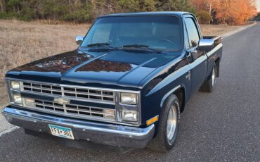 Chevrolet-Pickup-c10-shortbox-1985-blue-105412-5