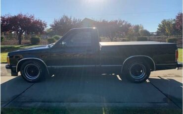 Chevrolet-S-10-1991-40234-6