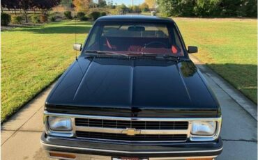 Chevrolet-S-10-1991-40234-9