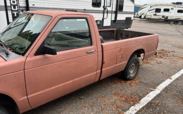 Chevrolet-S10-pickup-1985-136794-1