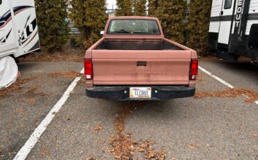 Chevrolet-S10-pickup-1985-136794-2