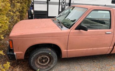 Chevrolet-S10-pickup-1985-136794