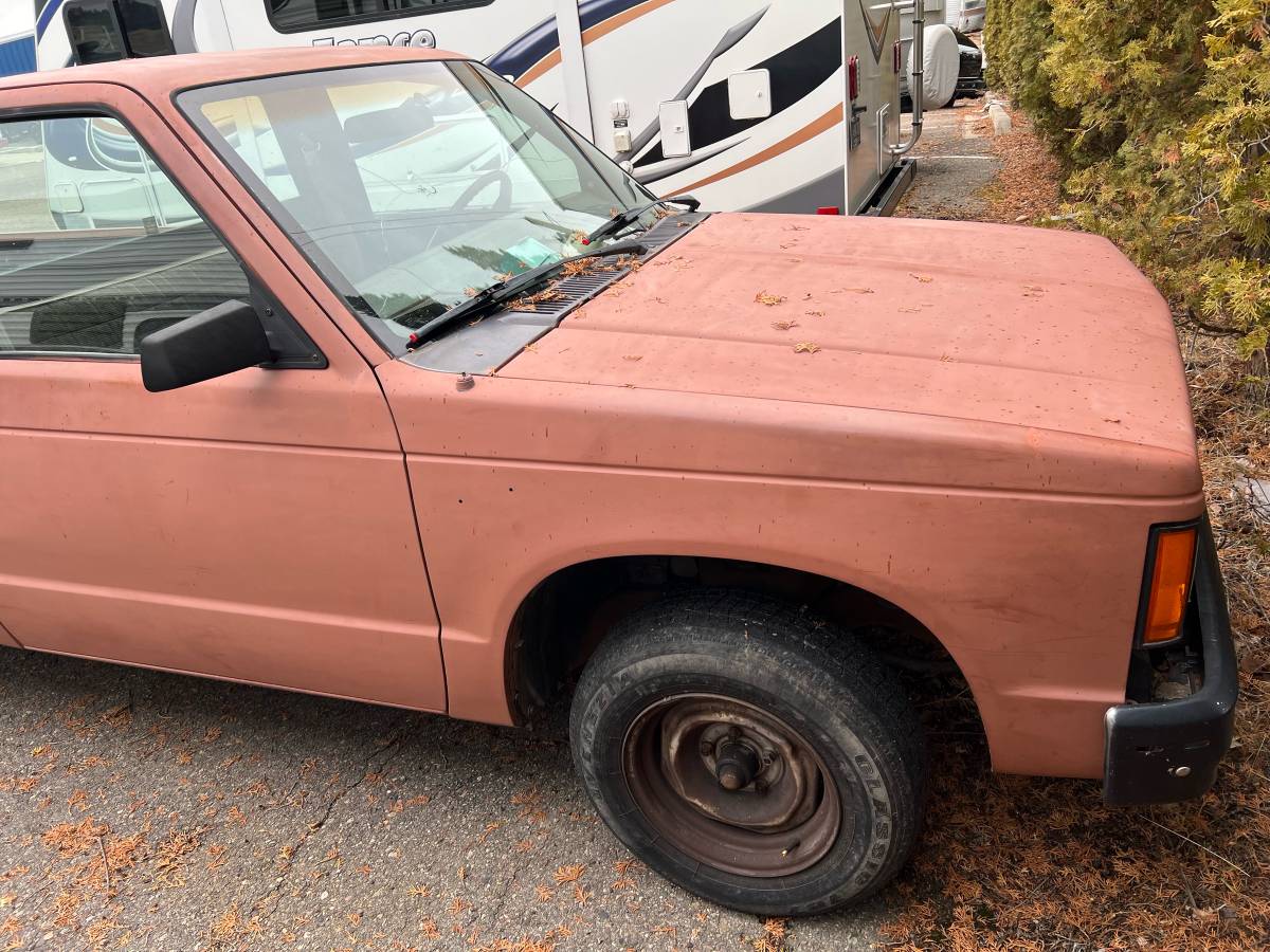 Chevrolet-S10-pickup-1985-136794-4