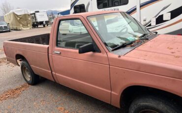 Chevrolet-S10-pickup-1985-136794-7