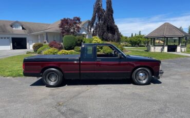 Chevrolet-S10-pickup-1993-15