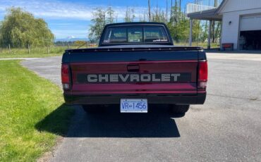 Chevrolet-S10-pickup-1993-19