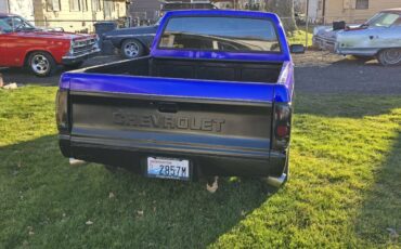 Chevrolet-S10-v8-383-shortbox-1987-6