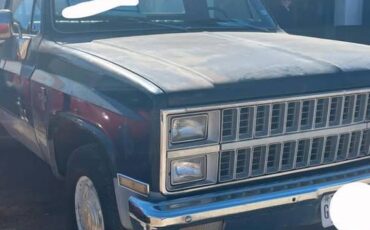 Chevrolet-Scottsdale-1982-blue-88304-1