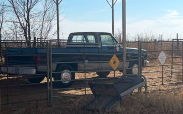 Chevrolet-Scottsdale-1982-blue-88304-2