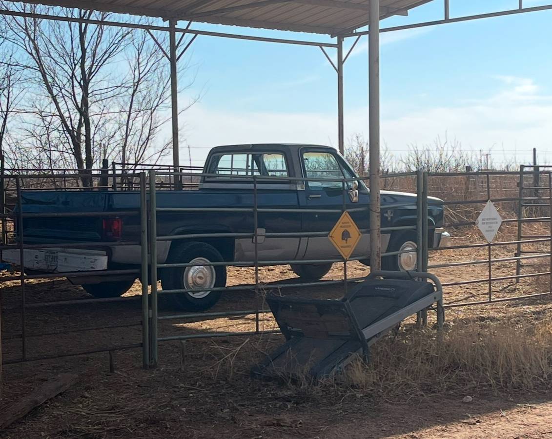 Chevrolet-Scottsdale-1982-blue-88304-2