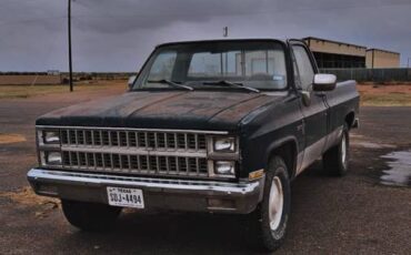 Chevrolet-Scottsdale-1982-blue-88304