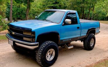 Chevrolet-Silverado-1500-1993-blue-318649-1