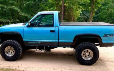 Chevrolet-Silverado-1500-1993-blue-318649-3