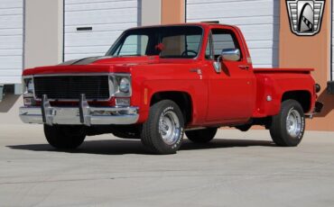 Chevrolet-Silverado-1500-Pickup-1976-2