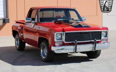 Chevrolet-Silverado-1500-Pickup-1976-5