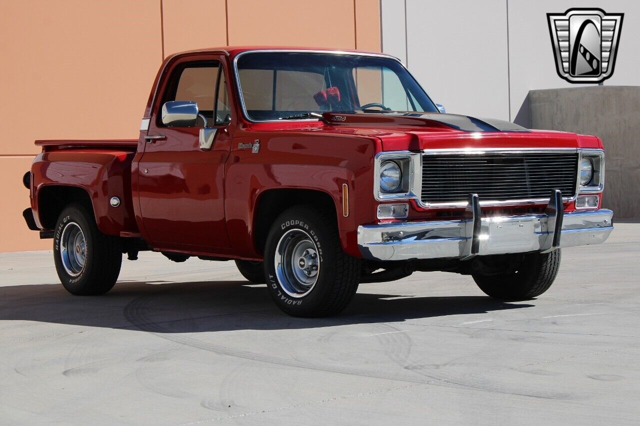 Chevrolet-Silverado-1500-Pickup-1976-6